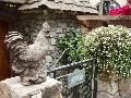 Giant White Bacopa / Bacopa 